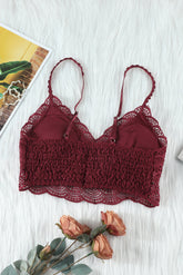 Chic Wine Sunrise to Sunset Lace Bra